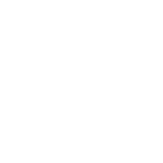 Aster Springs Icon - Favicon white