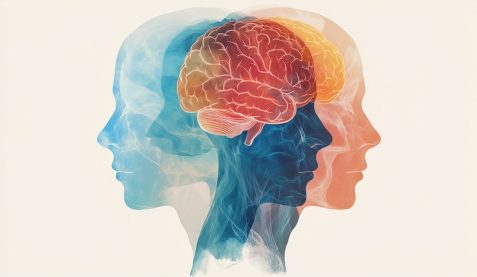 Human brain illustration showcasing cognitive processes, emotions, and mental health with overlapping silhouettes in blue and orange hues